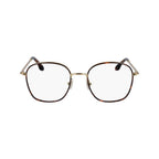 Brown Metal Glasses (Frames)