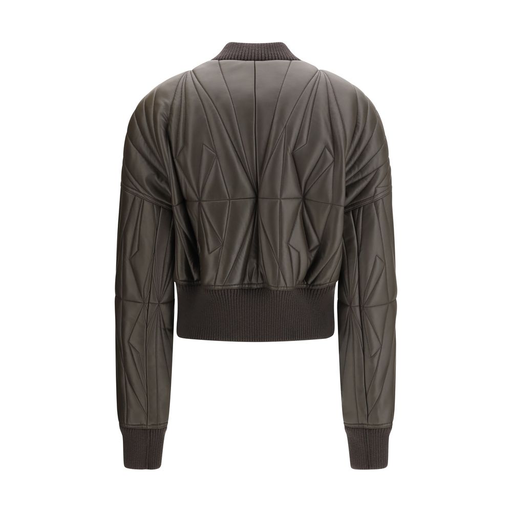 Brown Lamb Ovis Aries Aries Bomber