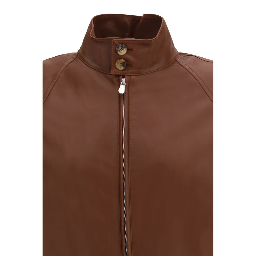 Brown Lamb Ovis Aries Aries Bomber