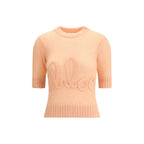 Orange Alpaca Vicugna Pacos Sweatshirt