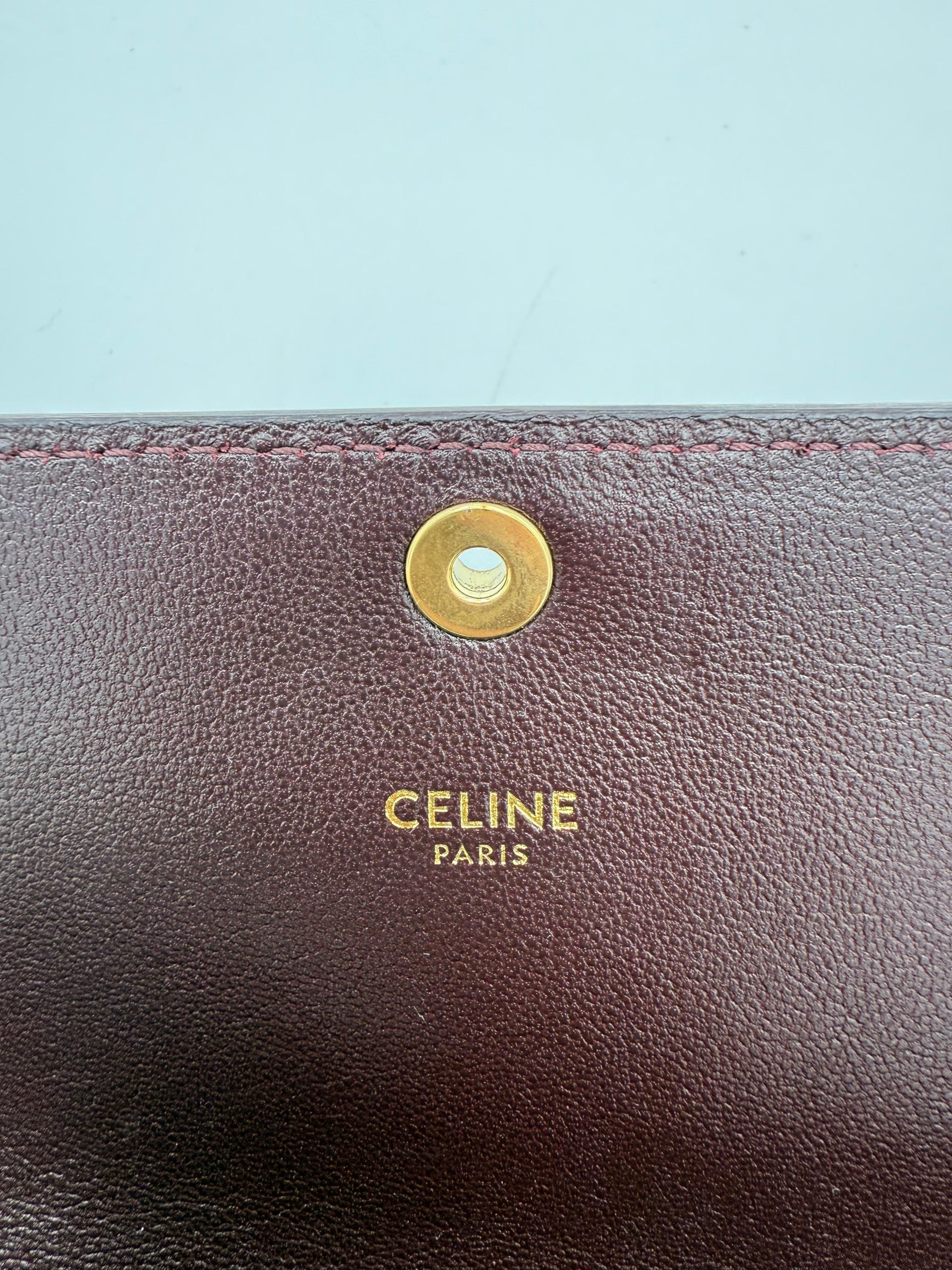 CELINE TRIOMPHE Reptile Skin Burgundy Clutch