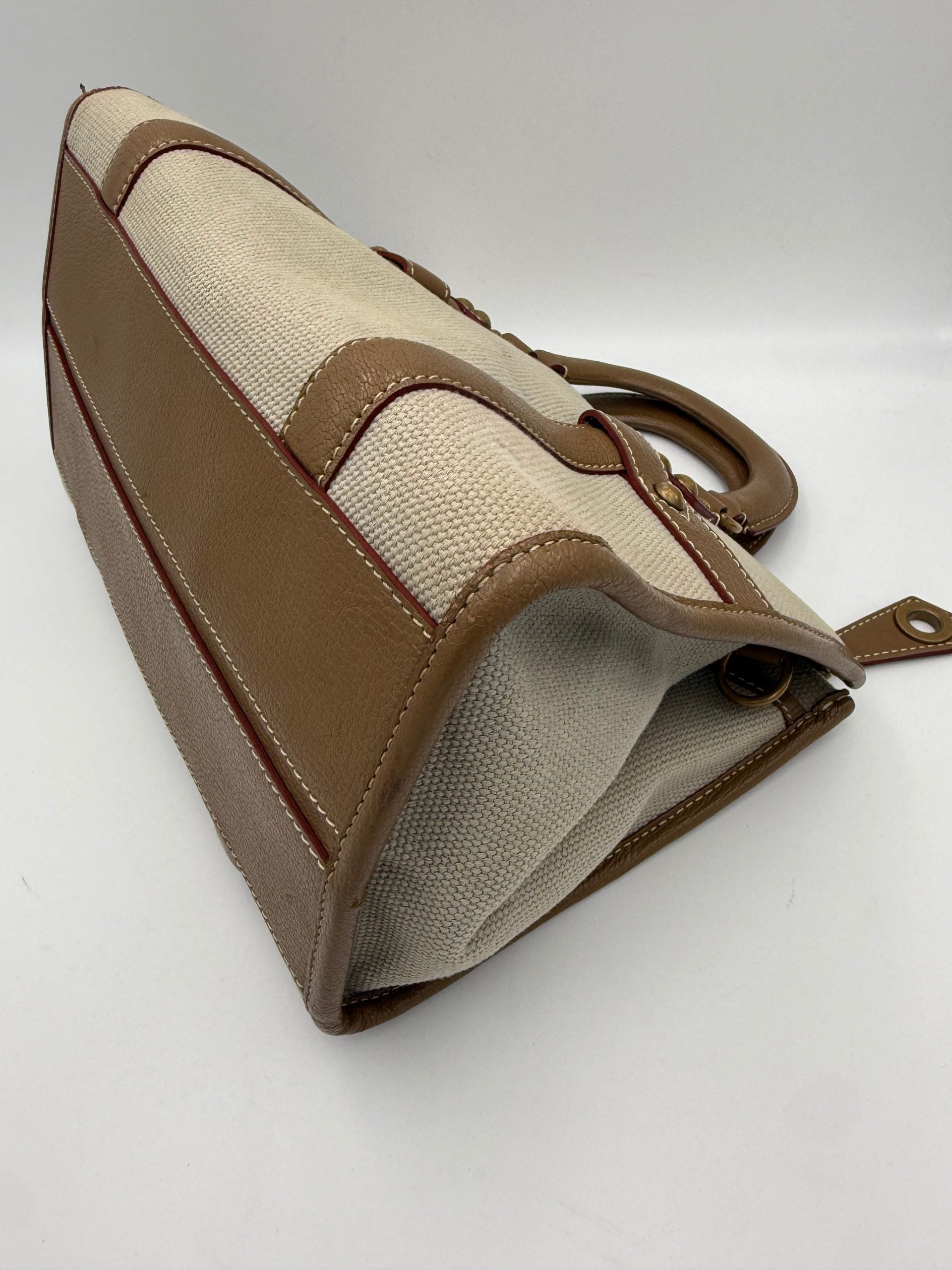 LOUIS VUITTON TRIANION NEVERFULL Handbag
