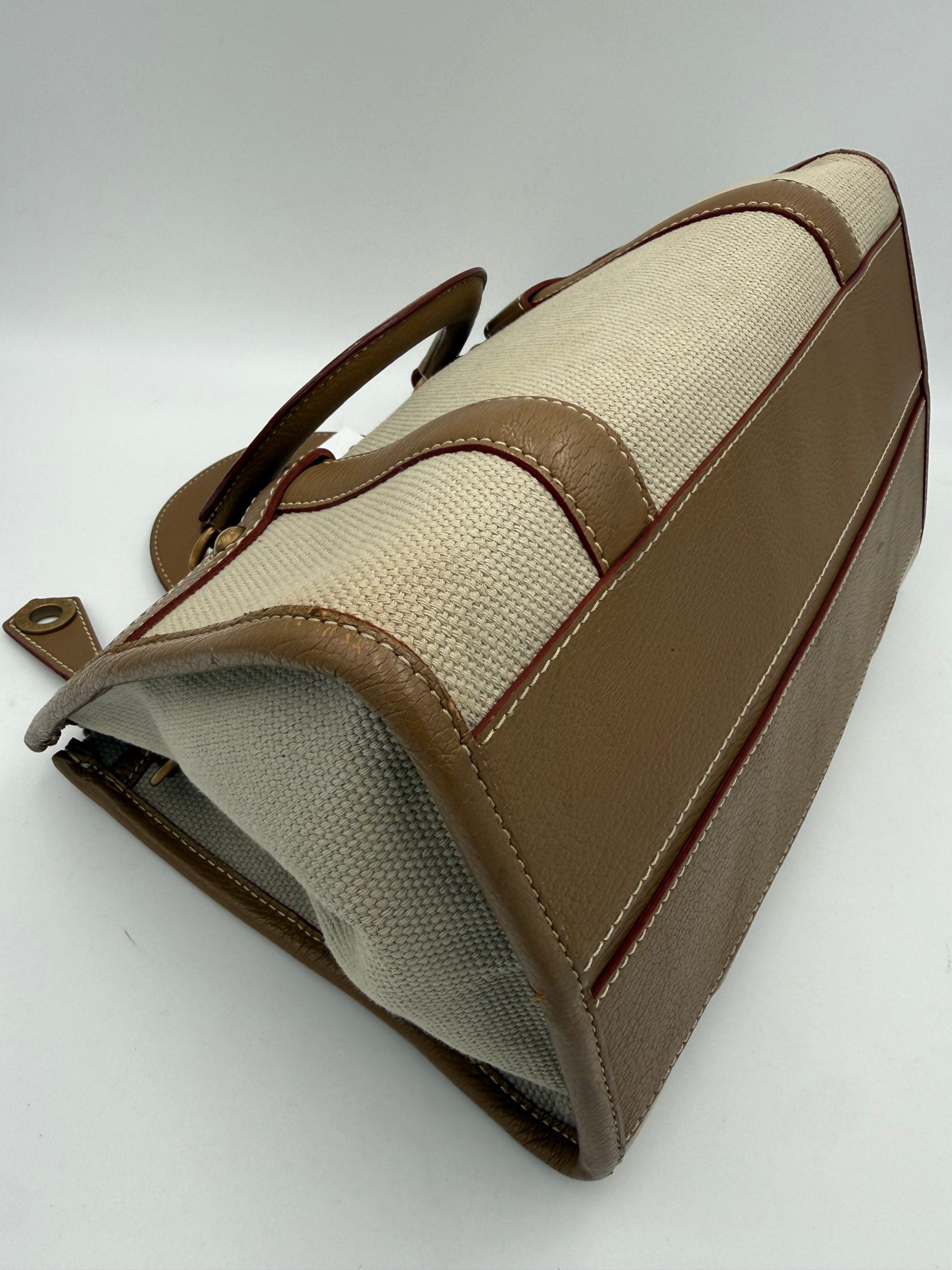 LOUIS VUITTON TRIANION NEVERFULL Handbag