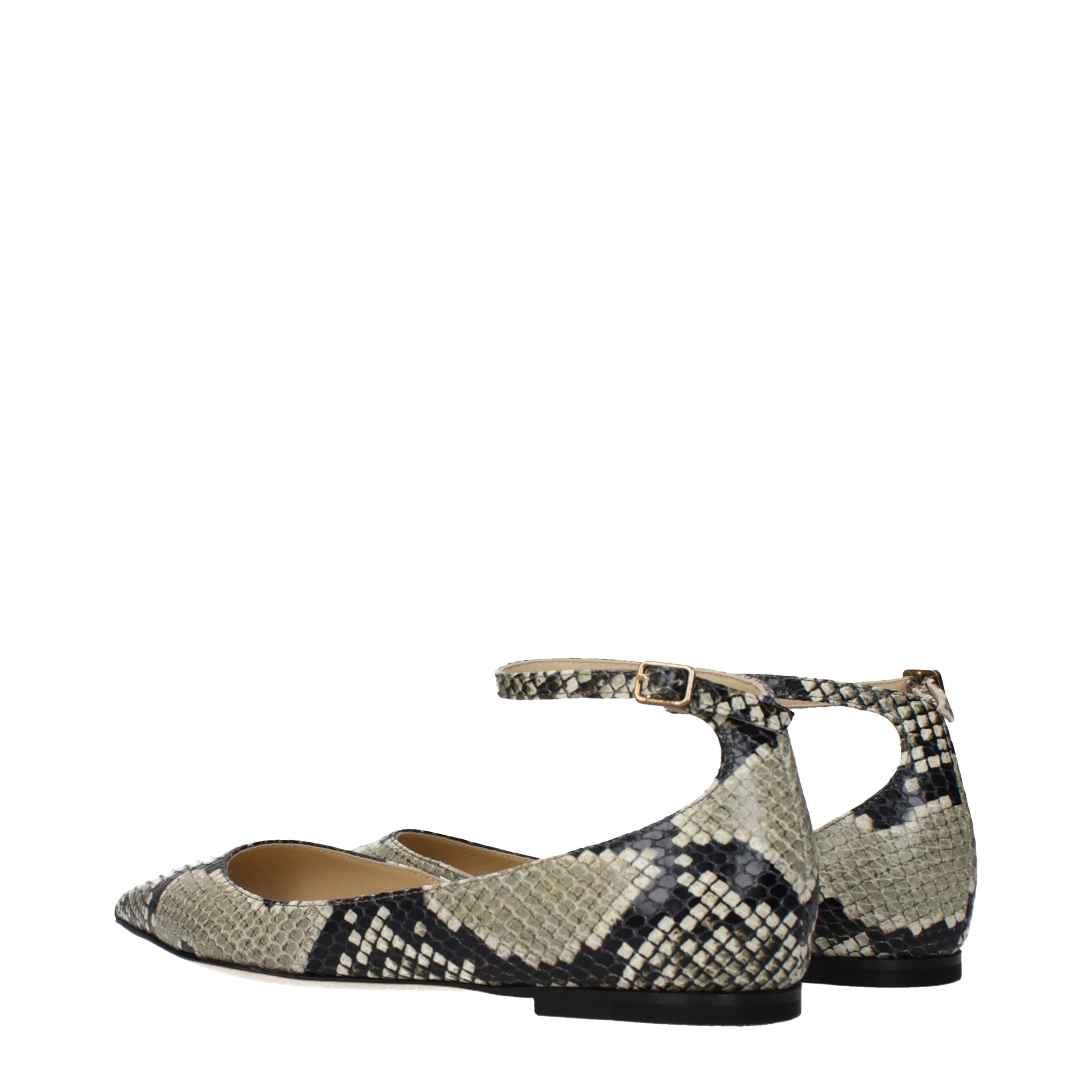 Multicolor Leather Ballet Flats