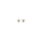 Gold Brass Earrings
