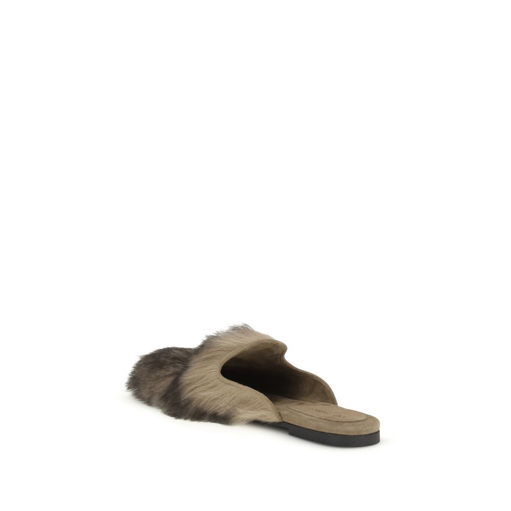 Gray Lamb Ovis Aries Aries Mules