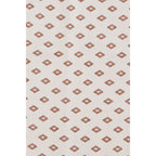 Multicolor Silk Scarf