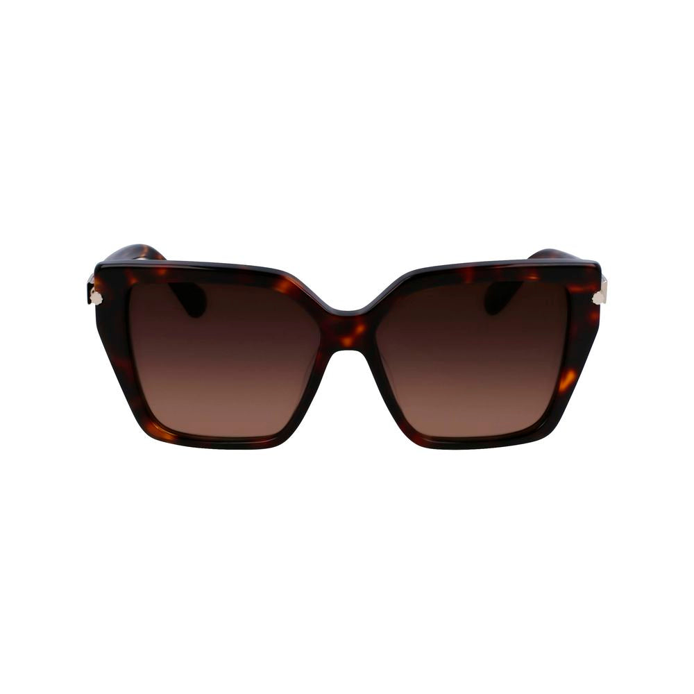 Brown Acetate Sunglasses