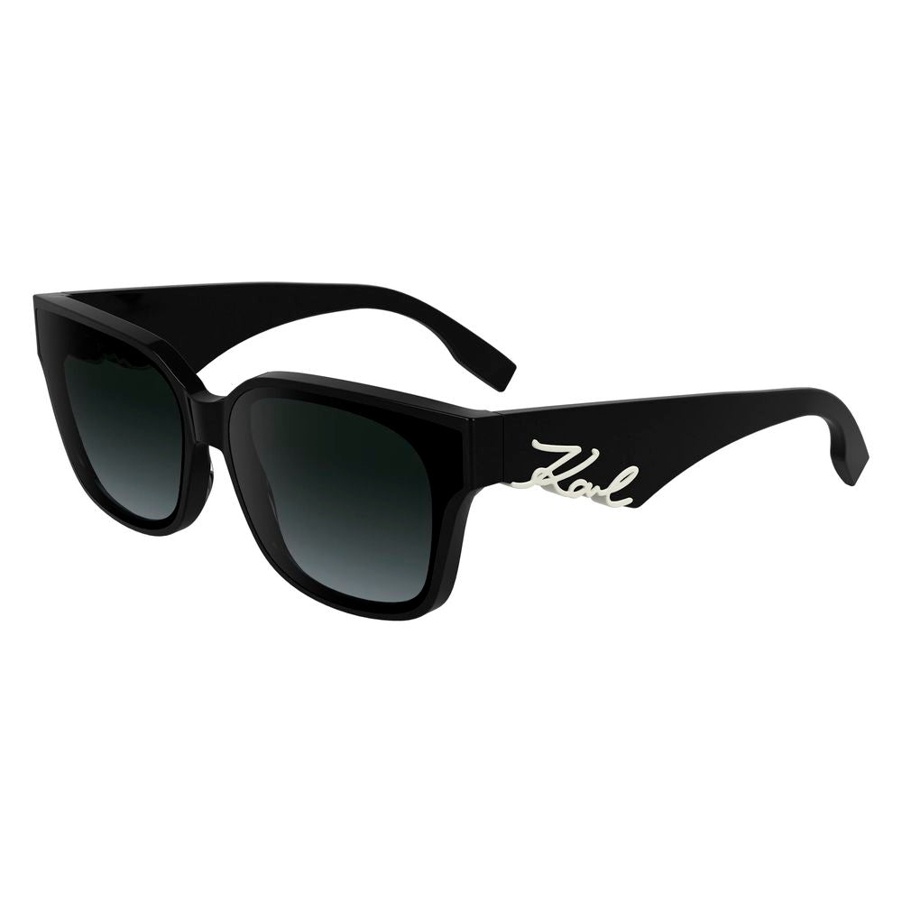 Black Acetate Sunglasses