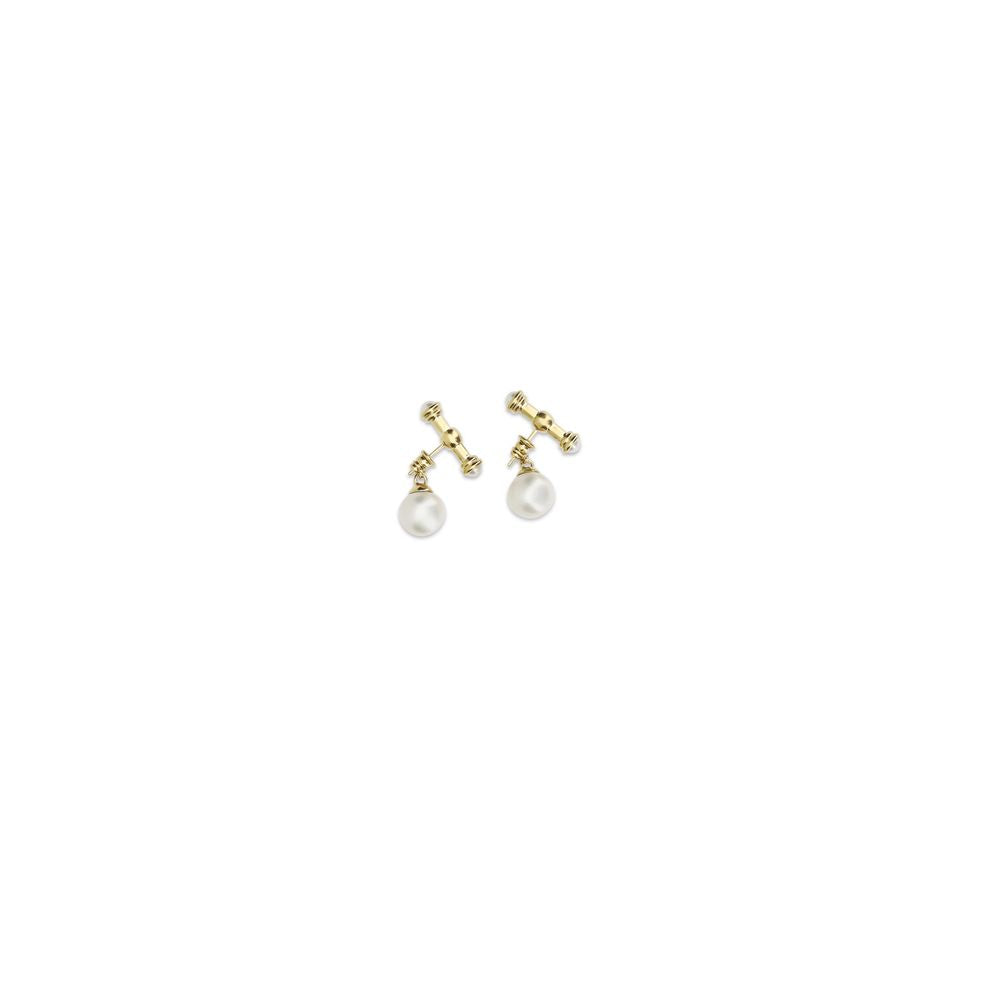 Gold Metal Earrings