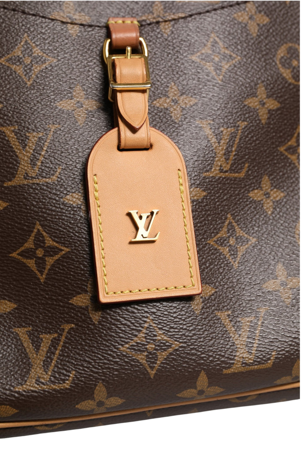 Monogram Canvas Odeon PM Crossbody Bag