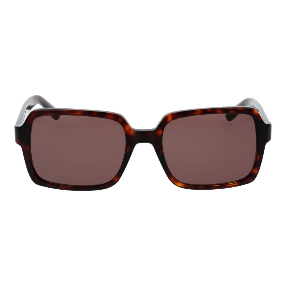Brown Plastic Sunglasses
