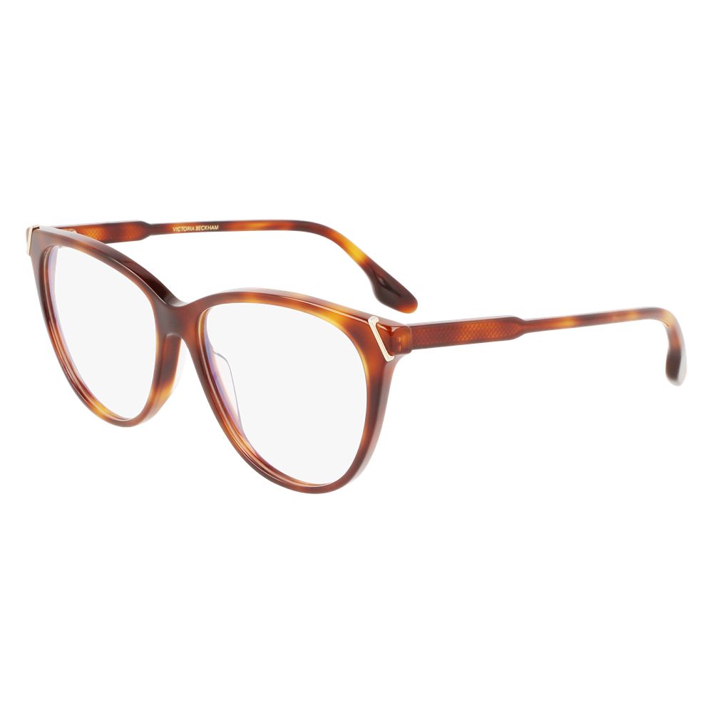Brown Plastic Glasses (Frames)
