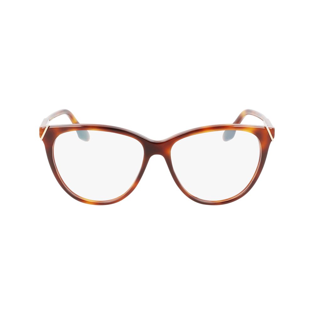 Brown Plastic Glasses (Frames)