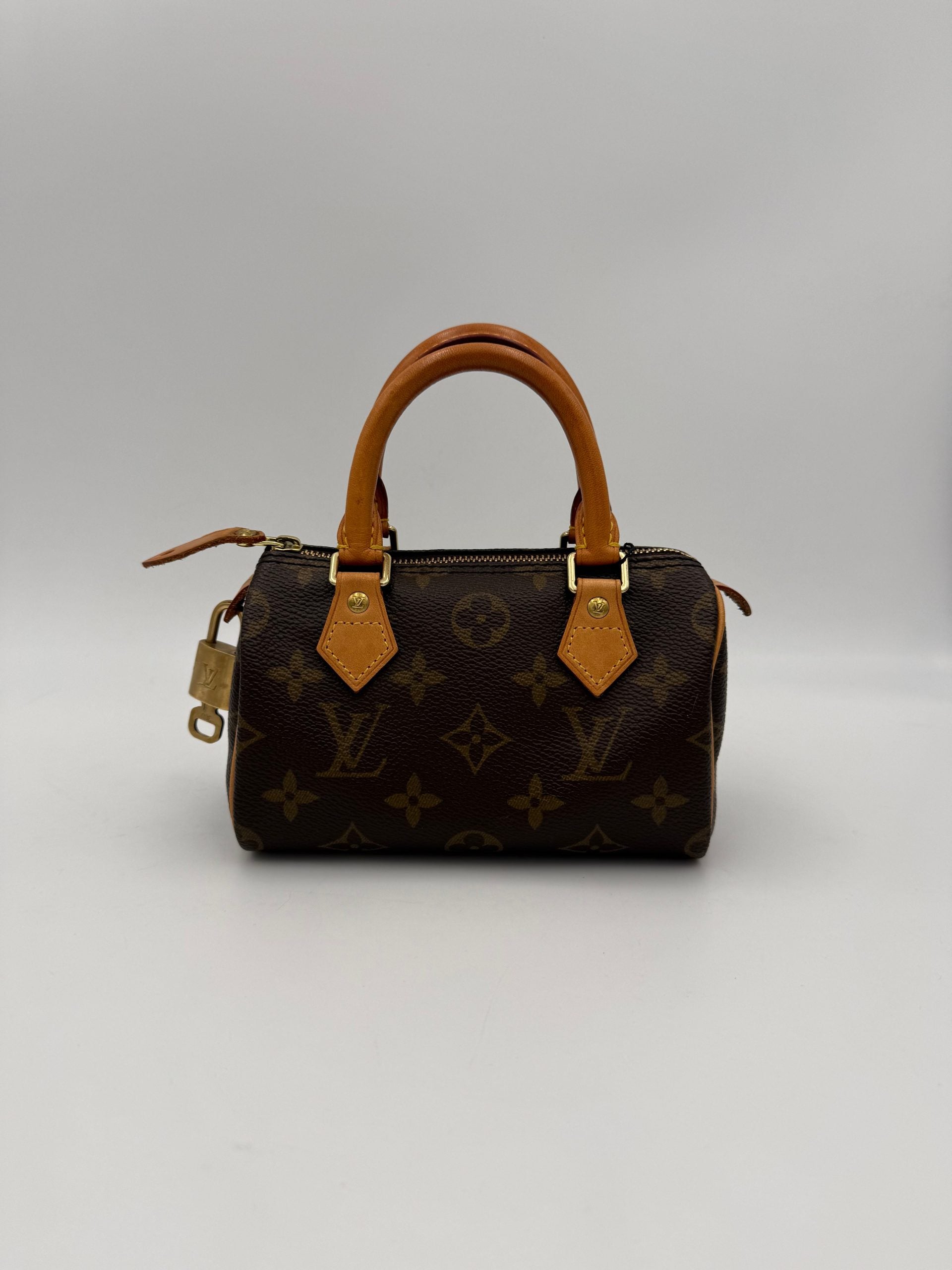 LOUIS VUITTON Nano Speedy Monogram Handbag