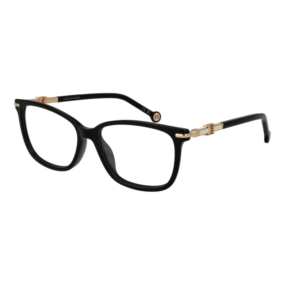 Black Acetate Glasses (Frames)