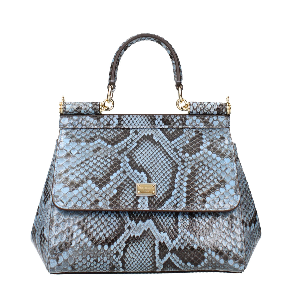 Light Blue Skin Handbag