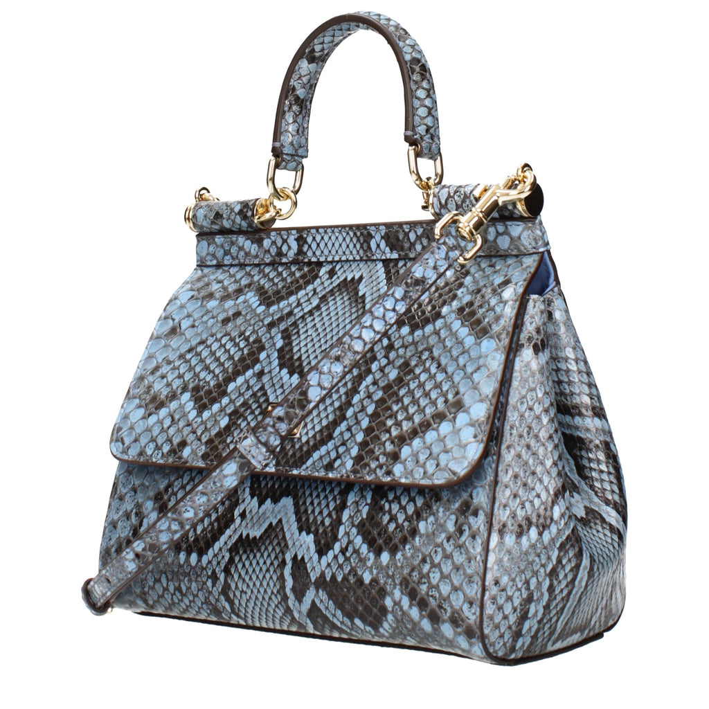 Light Blue Skin Handbag