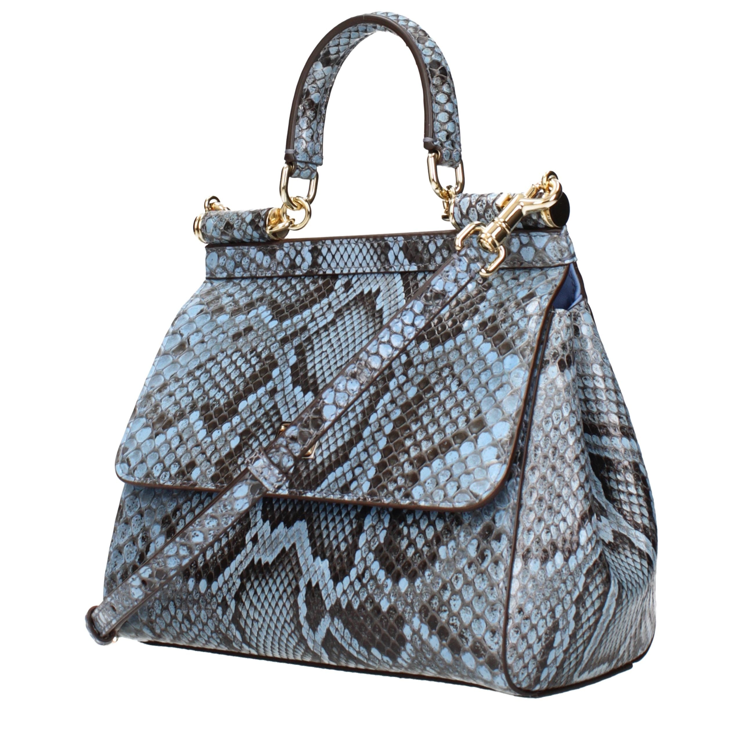 Light Blue Skin Handbag