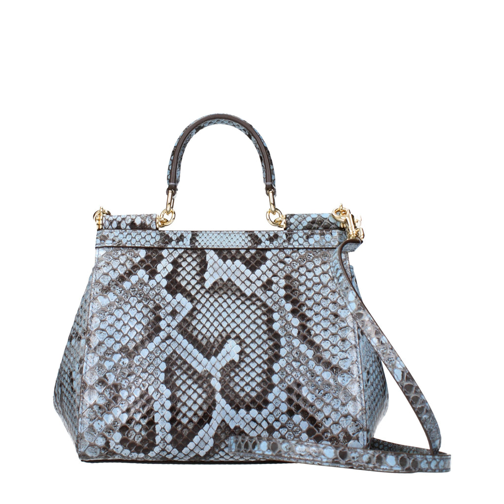 Light Blue Skin Handbag