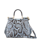 Light Blue Skin Handbag