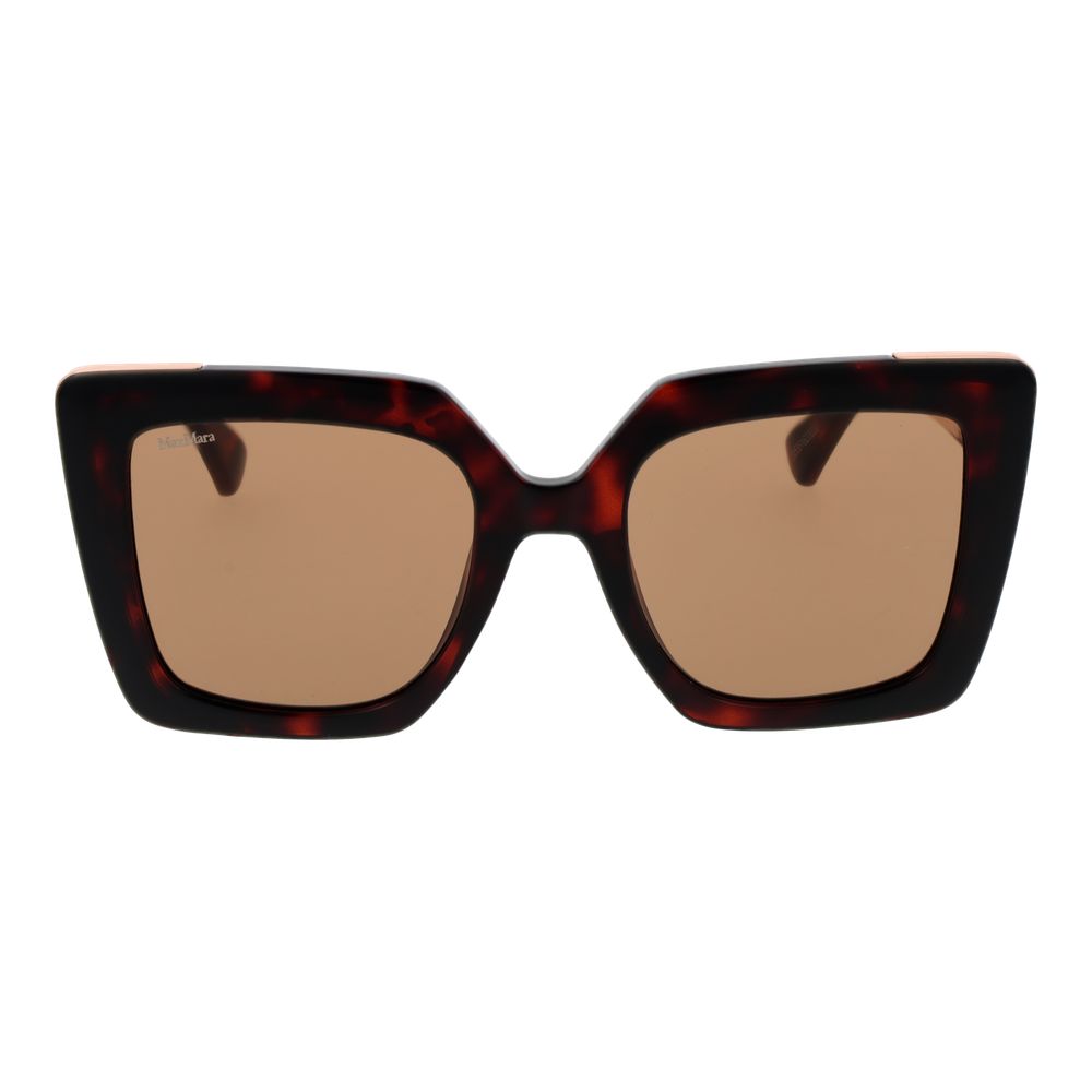 Brown Plastic Sunglasses