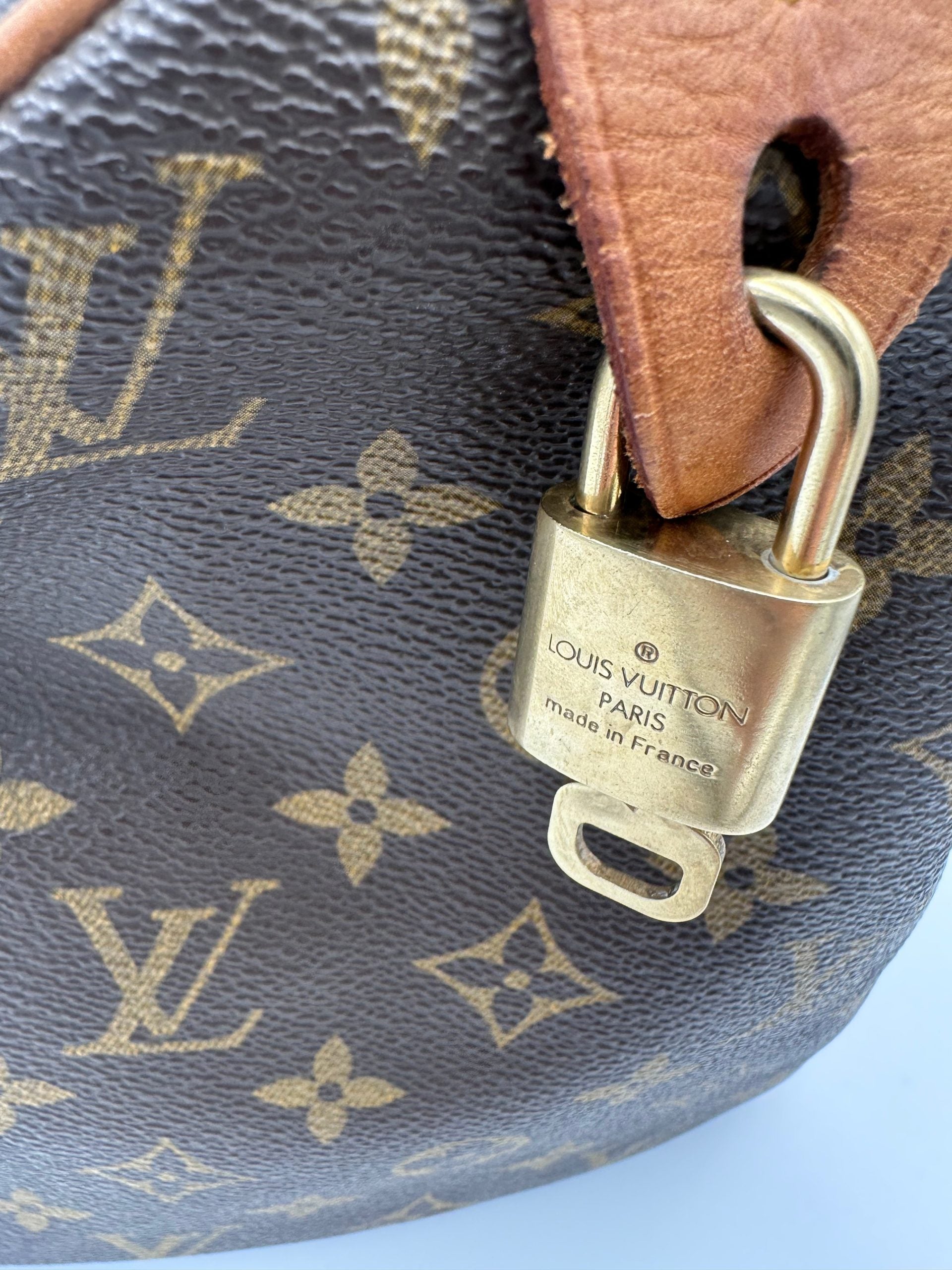 LOUIS VUITTON Speedy 30 Monogram Handbag
