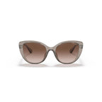 Brown Injected Sunglasses