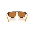 Brown Injected Sunglasses
