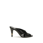 Black Lamb Ovis Aries Aries Mules