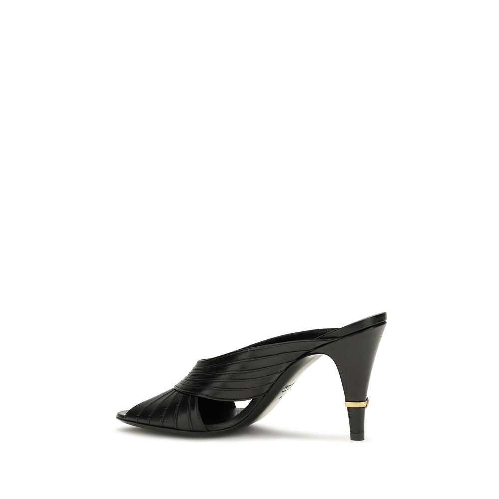 Black Lamb Ovis Aries Aries Mules