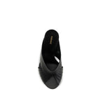 Black Lamb Ovis Aries Aries Mules