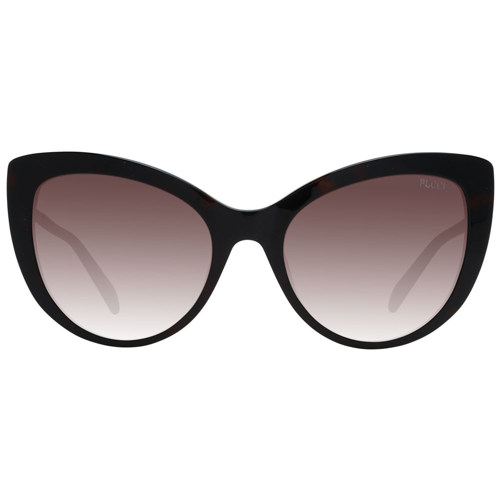 Brown Plastic Sunglasses