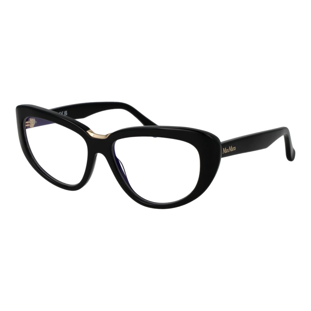 Black Plastic Glasses (Frames)