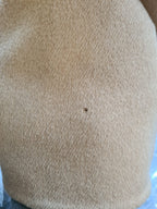 Beige Camel Skin Cashmere Shearling Overcoat Jacket