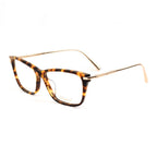 Brown Titanium Glasses (Frames)