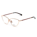 Multicolor Titanium Glasses (Frames)