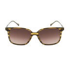 Brown Titanium Sunglasses